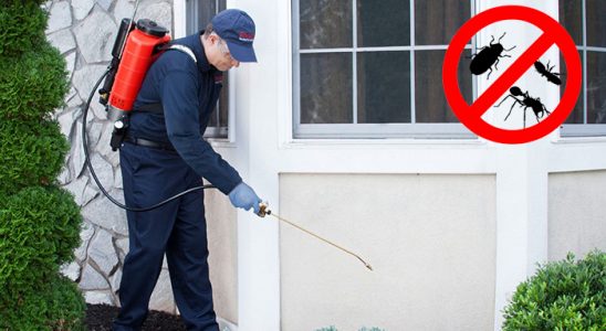 Kumlu Akrep İlaçlama böcek ilaçlama ve haşere kontrolü — ilaclama-tr.com